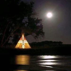 Meet your Posher, Bobbie